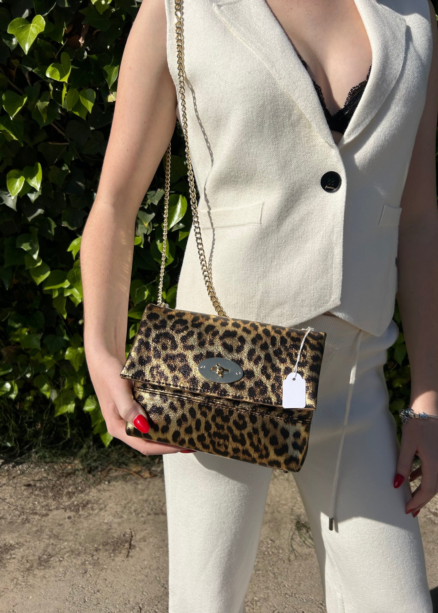 Leopard Print Bag