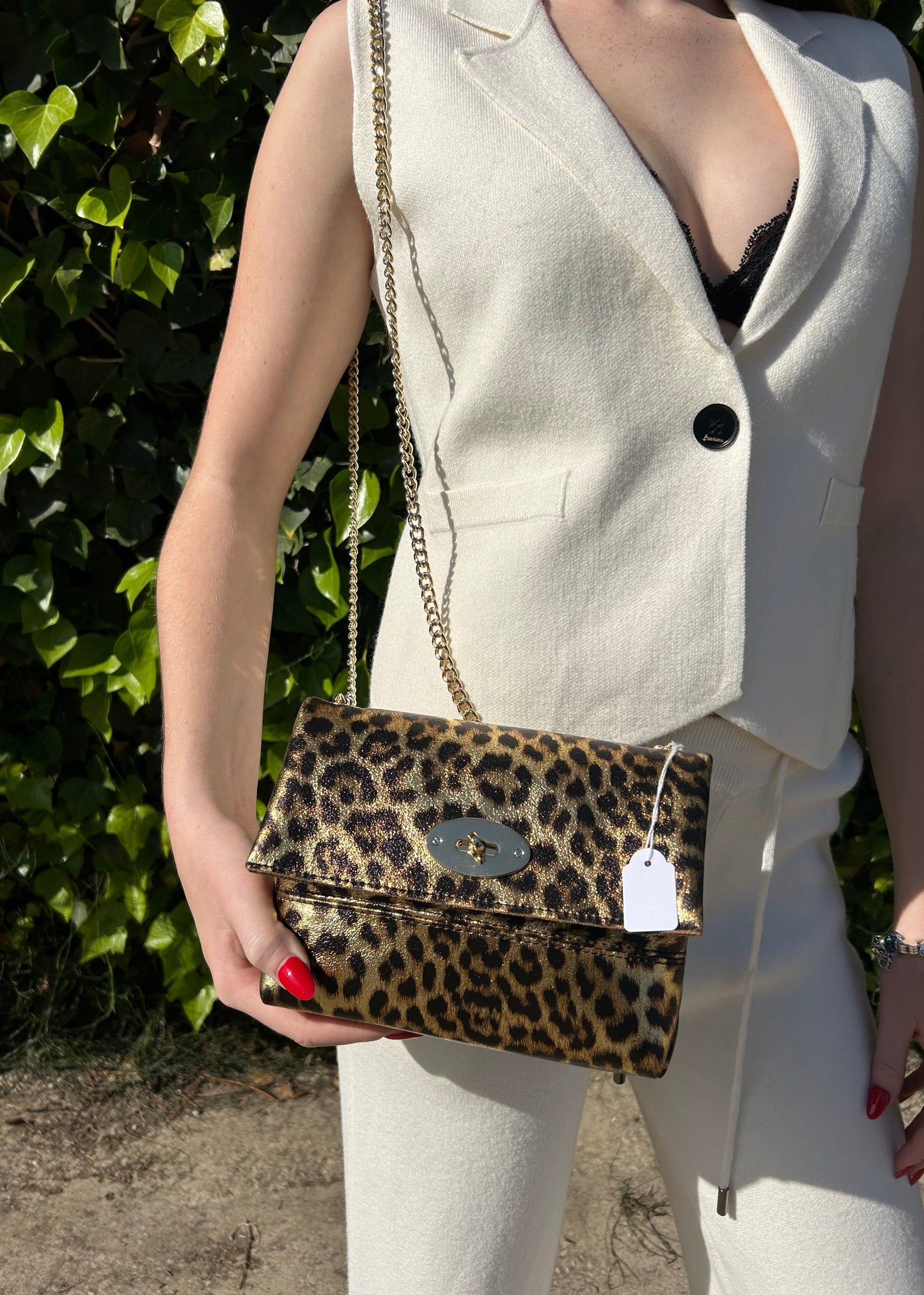 Leopard Print Bag
