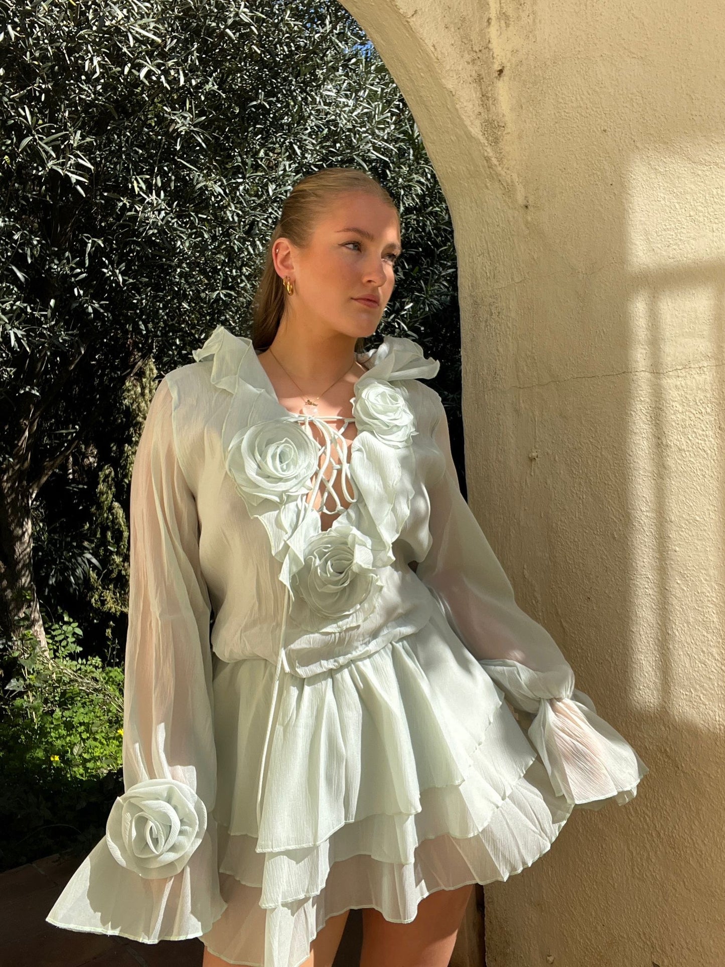 Rose dress