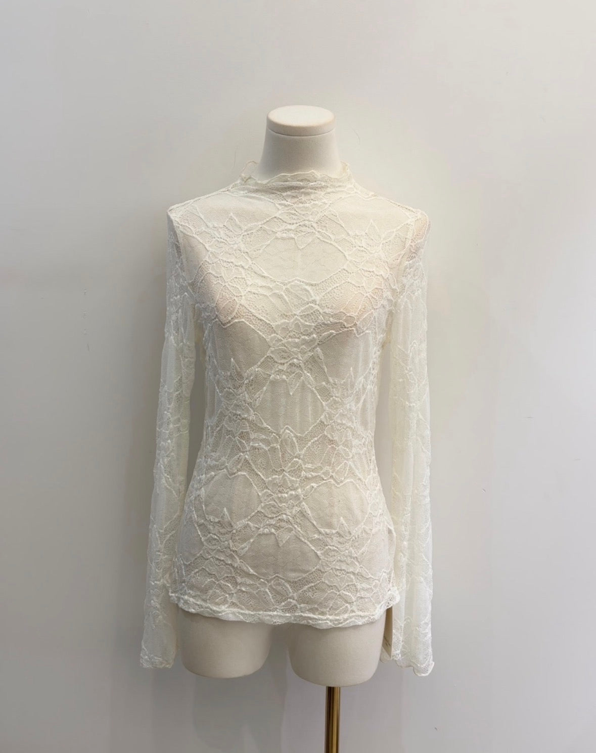 Sheer Crinkle Lace Long-Sleeve Top
